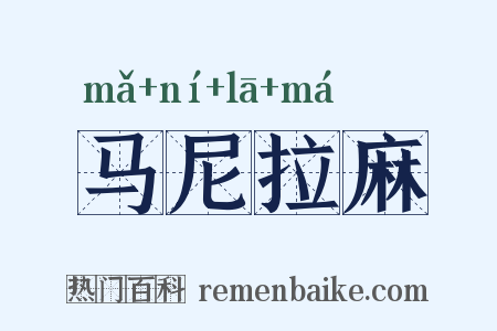 马尼拉麻是什么意思的图片